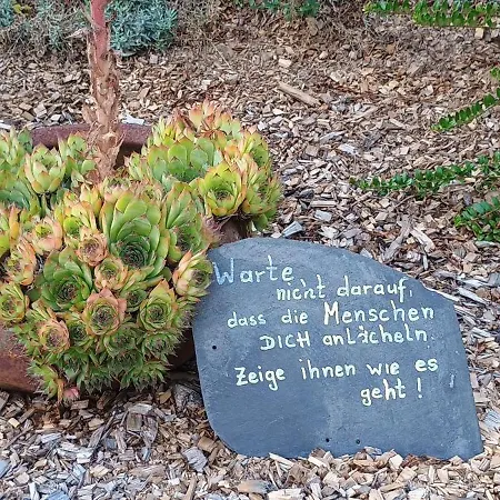 Ohne Gleichen Daire Sanspareil